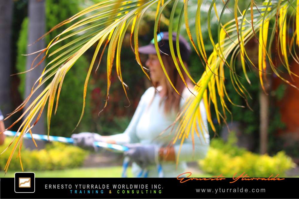 Puerto Rico Talleres de Cuerdas | Taller de Trabajo en Equipo para Empresas